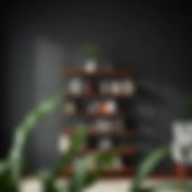 Magnificent The Umbra Bookshelf: A Comprehensive Exploration