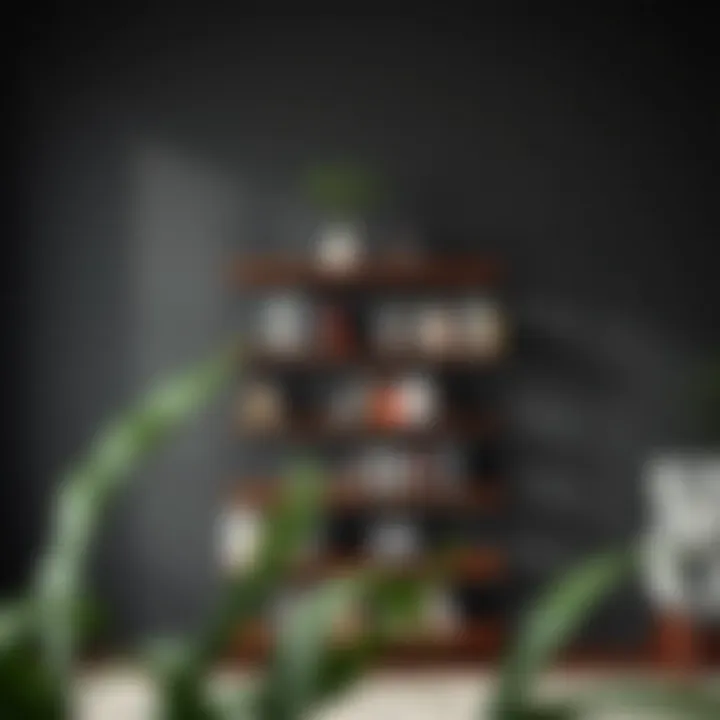 Magnificent The Umbra Bookshelf: A Comprehensive Exploration