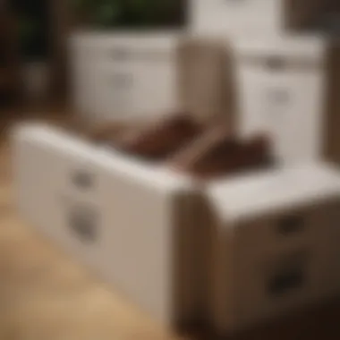 Labeled Shoe Boxes Properly labeled shoe boxes for easy access