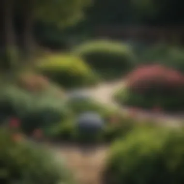 A well-organized garden layout with designated flower bed areas