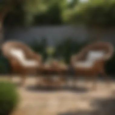 Vibrant outdoor setting showcasing beautifully restored wicker furniture