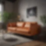 Stylish affordable couch in a modern living room