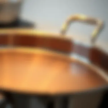 Close-up of All Clad roast pan material highlighting its quality