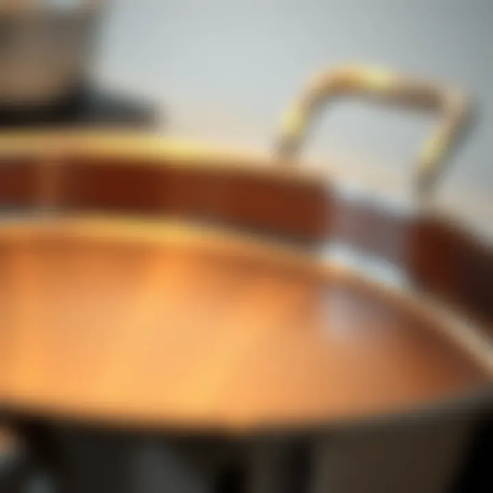 Close-up of All Clad roast pan material highlighting its quality