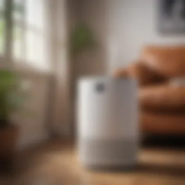 Features and Benefits of Air Purifiers Diagram showing air purifier features and benefits