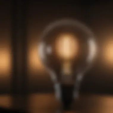 Halogen Light Bulb Efficiency in Dark Environments Halogen bulb providing bright light in a low-light area
