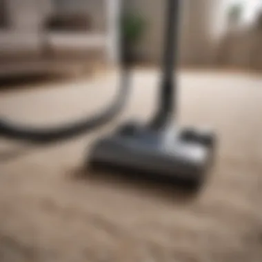 Variety of vacuum cleaners for flat carpets