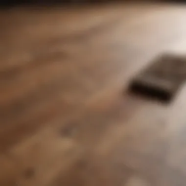 Different flooring types showing pet hair accumulation