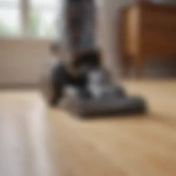 Powerful vacuum cleaner with pet hair attachment