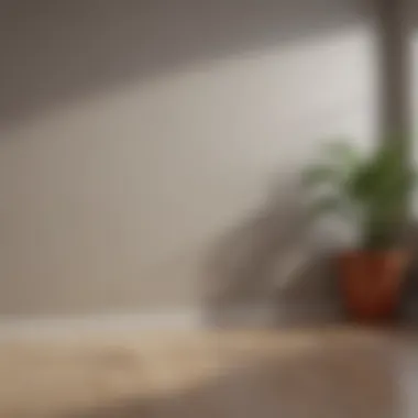 Before and After: Wall Cleaning Results Before and after cleaning a painted wall