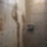 Close-up of mold on bathroom tiles