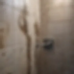 Close-up of mold on bathroom tiles