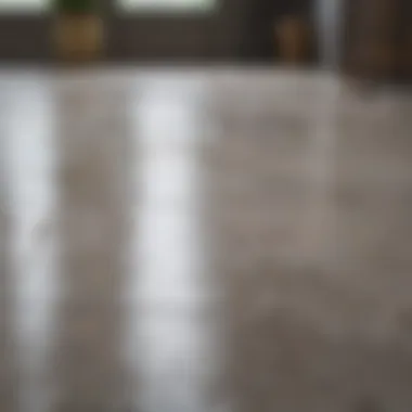 Well-Maintained Glossy Porcelain Floor A well-maintained porcelain floor with a glossy finish