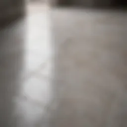 Shiny porcelain floor surface showcasing its unique texture