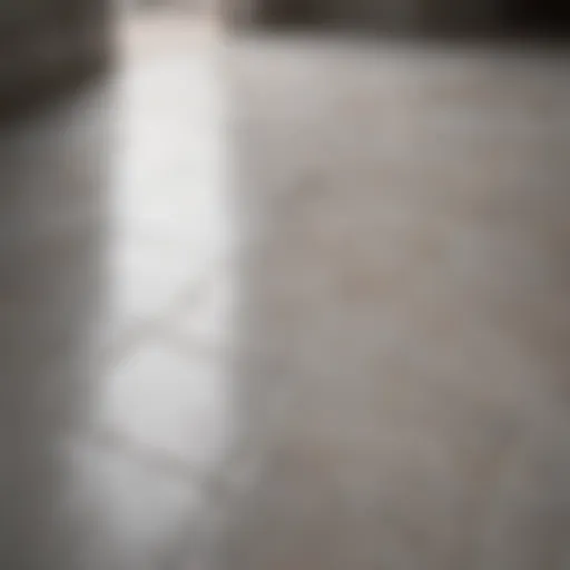 Shiny porcelain floor surface showcasing its unique texture