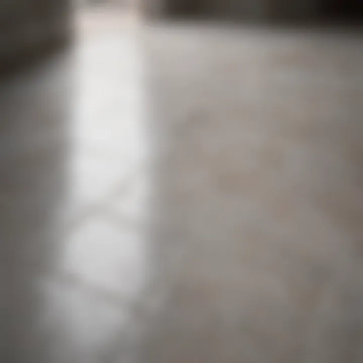 Shiny porcelain floor surface showcasing its unique texture