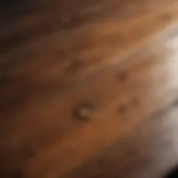 Close-up of water stains on a wooden surface