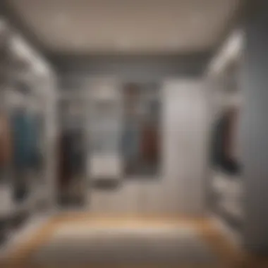 Color Coordination for Aesthetic Appeal Stylish closet with coordinated color schemes