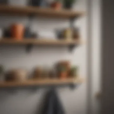 Creative use of shelves and hooks in a closet