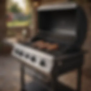 Gas Grill Features and Design Close-up of gas grill features showcasing portability and design