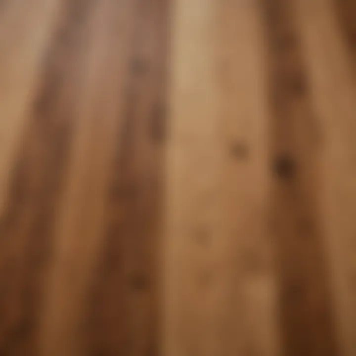 A close-up view of various hardwood species showcasing their unique grain patterns.