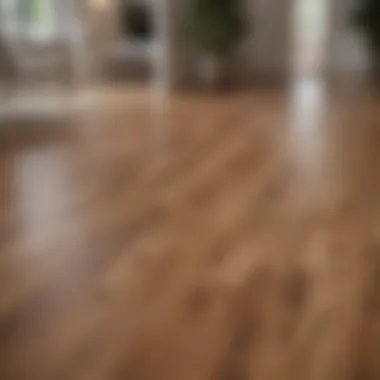 A beautifully maintained hardwood floor reflecting natural light in a modern interior.