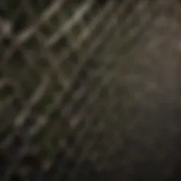 Innovative privacy fence design utilizing lattice panels