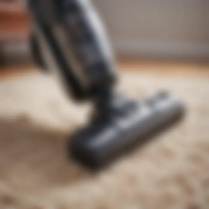 Close-up of cordless vacuum cleaning pet fur