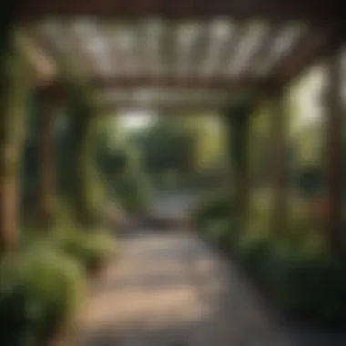 Elegant Outdoor Structure Outdoor structure such as a pergola surrounded by greenery