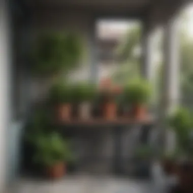 Charming Balcony Container Arrangement A serene balcony adorned with elegantly arranged potted plants