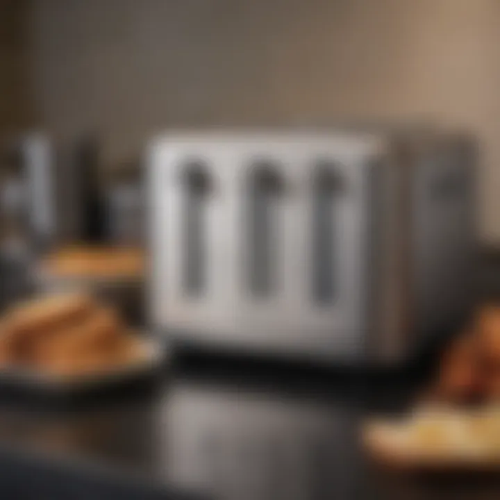 Maintenance tools for keeping the Cuisinart Compact Air Fryer Toaster clean