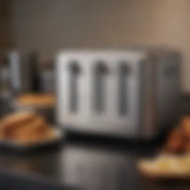 Essential Care Tools for the Cuisinart Air Fryer Toaster Maintenance tools for keeping the Cuisinart Compact Air Fryer Toaster clean