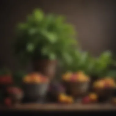 Vibrant Assortment of Fruit Plants Vibrant assortment of fruit plants in decorative pots