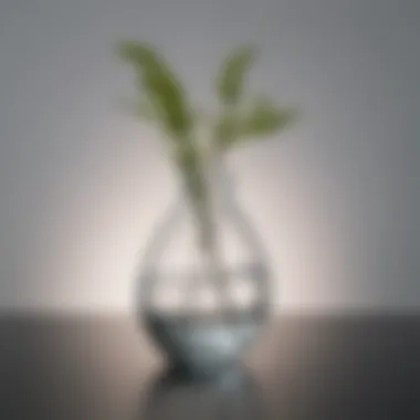 Glass vase showcasing modern minimalist style