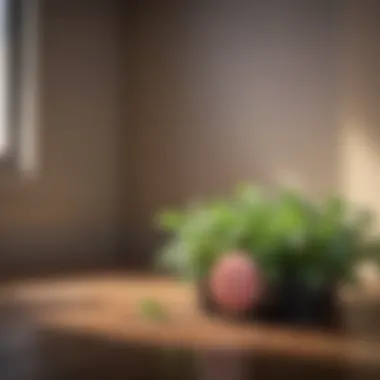 Home environment using peppermint for pest control