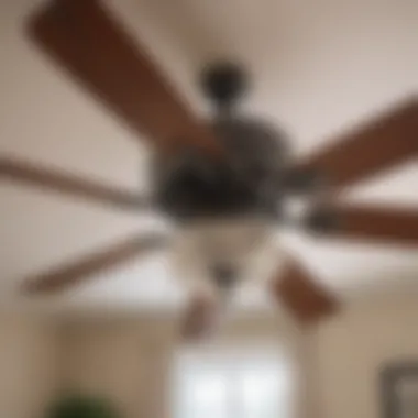 Ceiling fan after thorough dusting and maintenance