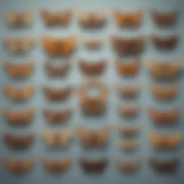 Diagram showcasing different types of moths commonly found in homes.