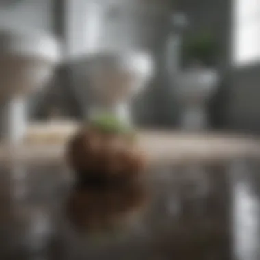 Natural Solutions for Toilet Clogs Home remedy ingredients for unclogging drains