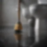 Plunger ready for action next to a toilet