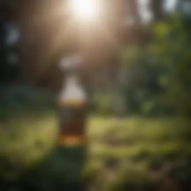 A natural herbicide poured into a spray bottle