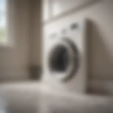 Importance of a Clean Dryer Vent Clean dryer vent system in a townhouse
