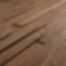 Close-up of pressure treated wood showcasing texture and grain