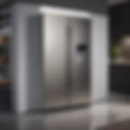 Samsung Smart Hub Refrigerator showcasing its sleek design