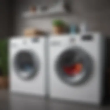 Energy-efficient washing machines with eco-friendly labels