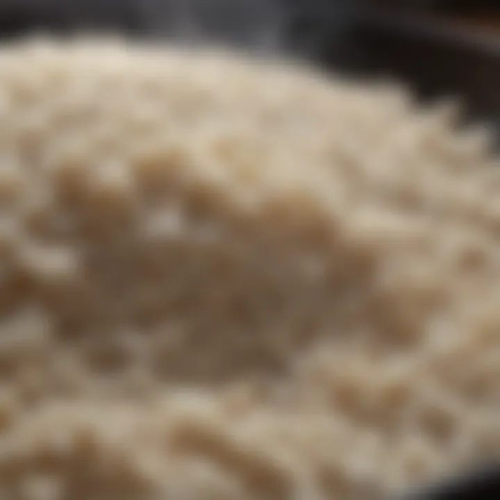 Close-up of rice grains being cooked to perfection