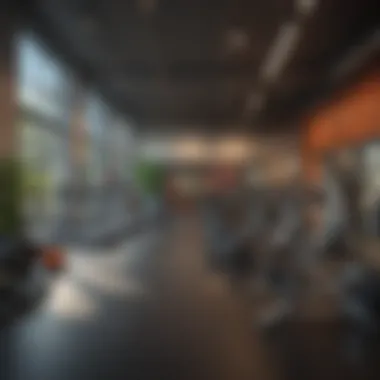 Amenities Overview: Fitness Center and Lounge Amenities at Common Terry Apartments including fitness center and lounge