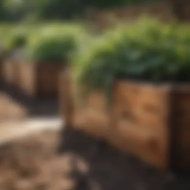 Exploring Different Finishes for Raised Beds Comparison of finishes on raised beds