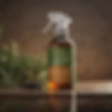 A close-up view of a natural pest spray made from essential oils.