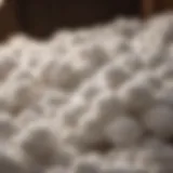 A close-up of luxurious cotton fibers showcasing their softness and quality.