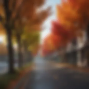 Urban landscape featuring colorful trees